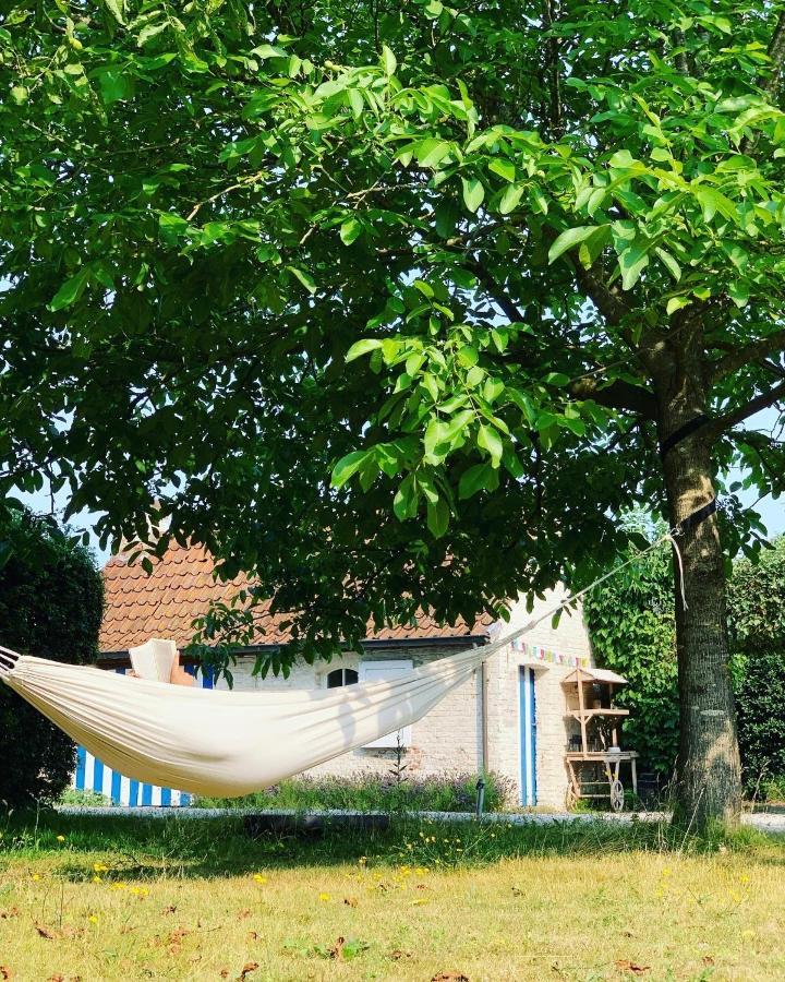 Hamiora Wellness B&B Deinze Exterior photo
