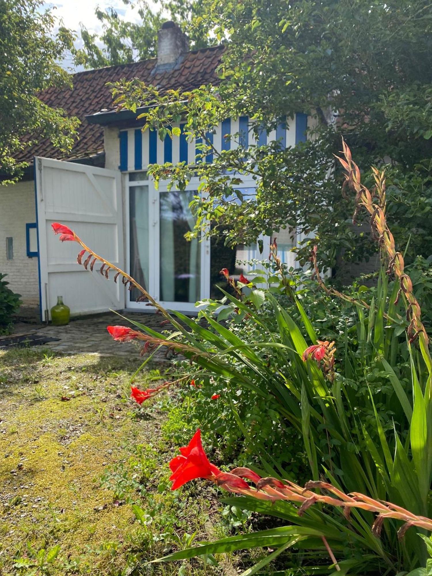 Hamiora Wellness B&B Deinze Exterior photo
