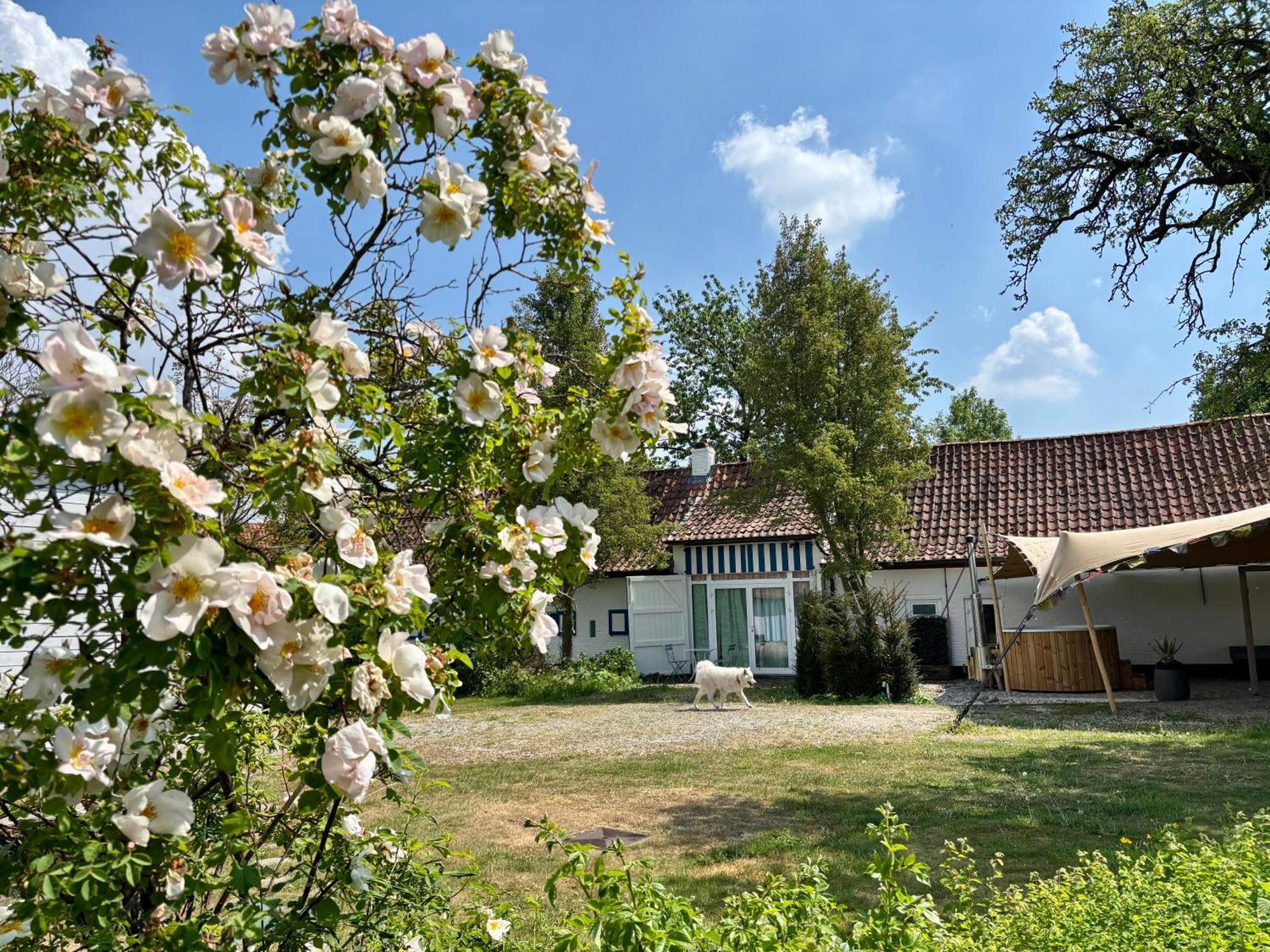 Hamiora Wellness B&B Deinze Exterior photo